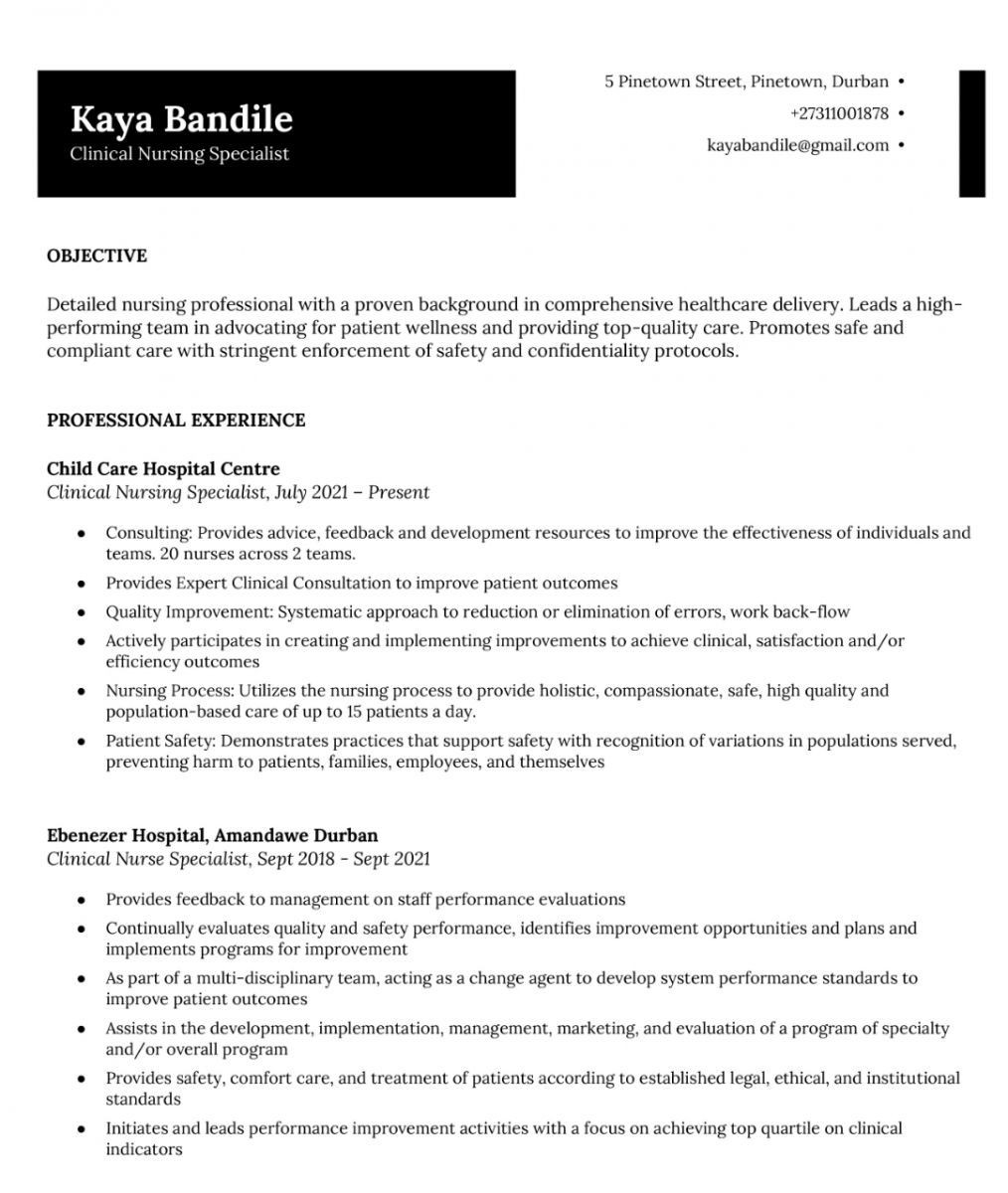 Sample of Professional CV template 