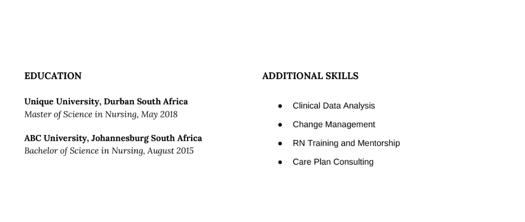 Sample of Professional CV template 2