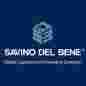 Savino Del Bene logo