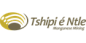 Tshipi E Ntle Manganese Mining logo