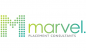 Marvel Placement Consultant logo