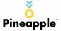 Pineapple logo