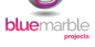 BlueMarble logo