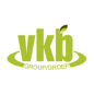 VKB Group logo