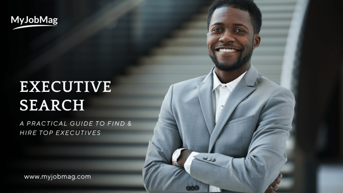 Executive Search - A Practical Guide for HR Leaders to Find and Hire Top Executive
