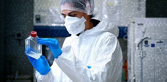 University of Cape Town Post-doctoral Scholarships For Drug Discovery