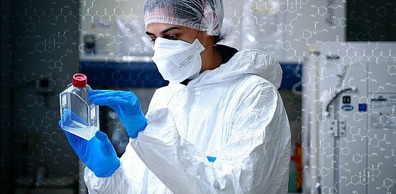 University of Cape Town Post-doctoral Scholarships For Drug Discovery